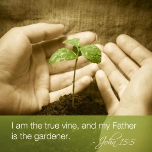 32371_10151347701303072_664792962_n