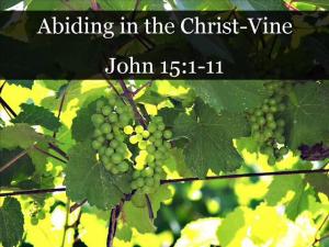 abiding in the vine