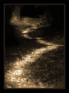 Copyrighted_Image_Reuse_Prohibited_327553