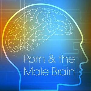 porn male brain